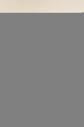 Ethnic Motifs Zari Woven Design Banarasi Saree